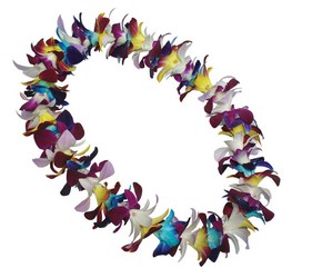Lei - Single Mixed Colors - Dendrobium Orchid  from Boulevard Florist Wholesale Market